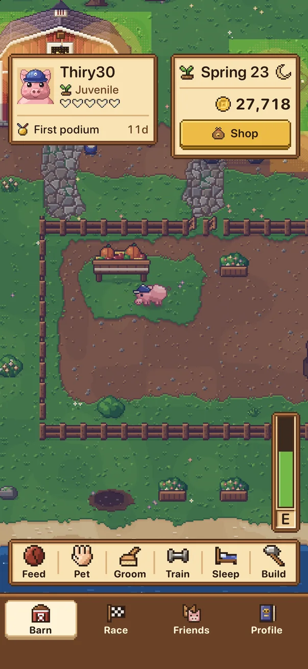 the ranch: a barn, a paddock, buildings and a pig in a blue cap